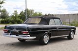 Mercedes-Benz W111 280 Seb Cabrio Hochkühler - Mercedes-Benz: Cabrio, W111