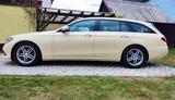 Mercedes-Benz E 220 d T-Modell "Das Taxi", Automatik, Diesel - Mercedes-Benz E 220 mit Diesel-Antrieb: Taxi