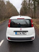 Fiat Panda  - Fiat Panda Gebrauchtwagen in Karlsruhe