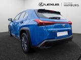 Lexus UX 250 h Executive NAVI HGSD HEAD-UP DISPLAY - Lexus Gebrauchtwagen in Hamburg