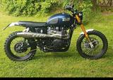 Triumph Scrambler - TRIUMPH SCRAMBLER