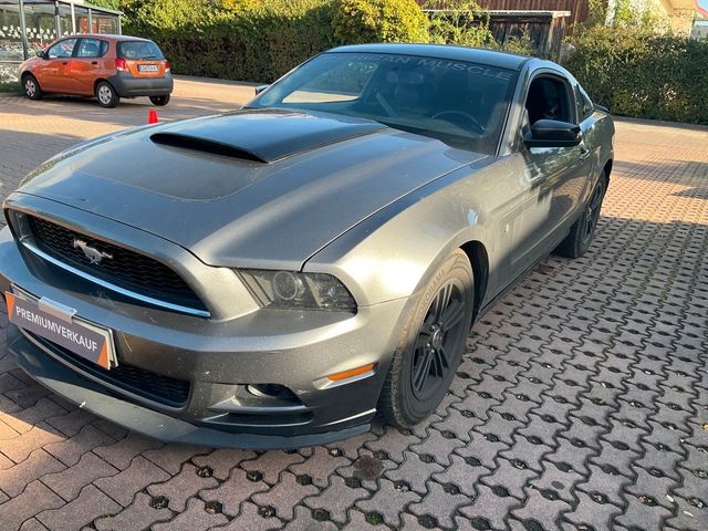 Ford Mustang 3.7 +BI-XENON+LEDER+KLIMA+SPORTSITZE+