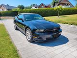 Ford Mustang - Ford Mustang in Lübeck
