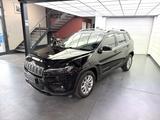 Jeep Cherokee 2.2 M-Jet Automatik Longitude Kamera - Jeep Cherokee aus 2020