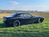 Dodge Challenger - Dodge Gebrauchtwagen in Stuttgart