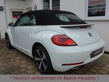 Volkswagen Beetle 1.2TSI Sound Plus Standheizung Kamera - VW Beetle Gebrauchtwagen in Frankfurt