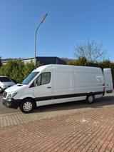 Mercedes-Benz Sprinter 316 CDI Maxi, Klima, Tempom, Multilenkr