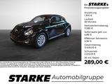 Volkswagen Beetle 1.2 TSI Design Navi PDC Bi-Xenon Klima Al - gebrauchte VW Beetle aus dem Jahr 2015