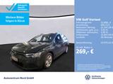 Volkswagen Golf VIII Variant 1.5 eTSI DSG Life AHK+ACC+KAME - Volkswagen Gebrauchtwagen in Flensburg