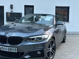 BMW 230iM Sport | H&K Sound | Neues Verdeck | HU neu - BMW 230: 230i