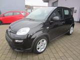Fiat Panda Hybrid,Comfort - Fiat Panda mit Hybrid-Antrieb