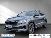 Skoda Karoq - Vorschau Bild 1