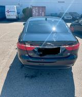 Jaguar XF pure - Jaguar XF: Pure