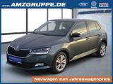 Skoda Fabia 1.0 TSI Style Kamera+AppLink+Tempomat - Skoda Fabia Gebrauchtwagen in Chemnitz