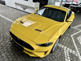 Ford Mustang 2,3 EB Fastback 4 Jahre Garantie - Ford Mustang Gebrauchtwagen in Köln