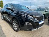 Peugeot 3008 Crossway|LED|R-KAM|PANO - Peugeot 3008: Kombi