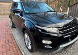 Andere Range Rover Evoque Dynamic 2.2 TD4 SHZ Len... - Andere