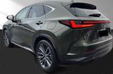 Lexus NX 350h *360° Kamera* Leder*Memory*MwSt*MY25     - Lexus aus 2024: Nx
