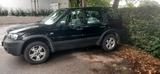 Ford Maverick,Escape - Ford: Maveric