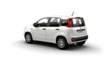 Fiat Panda Pandina POP Hybrid #KLIMA #PARKSENSOREN - Fiat Panda POP mit Hybrid-Antrieb (Benzin/Elektro)