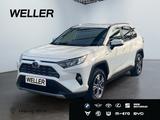 Toyota RAV 4 2.5 4x2 Hybrid Business Edition *ACC*RCam*