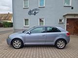 Audi A3 1.9 TDI Attraction,Klimaaut.Sitzhzg,TÜV 09/26 - Audi A3 aus 2003: 1.9