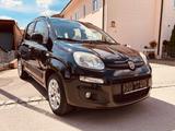 Fiat Panda 1,2 Klima-Alu-Reifen Neu-Service neu!!! - Fiat Panda Gebrauchtwagen in Augsburg