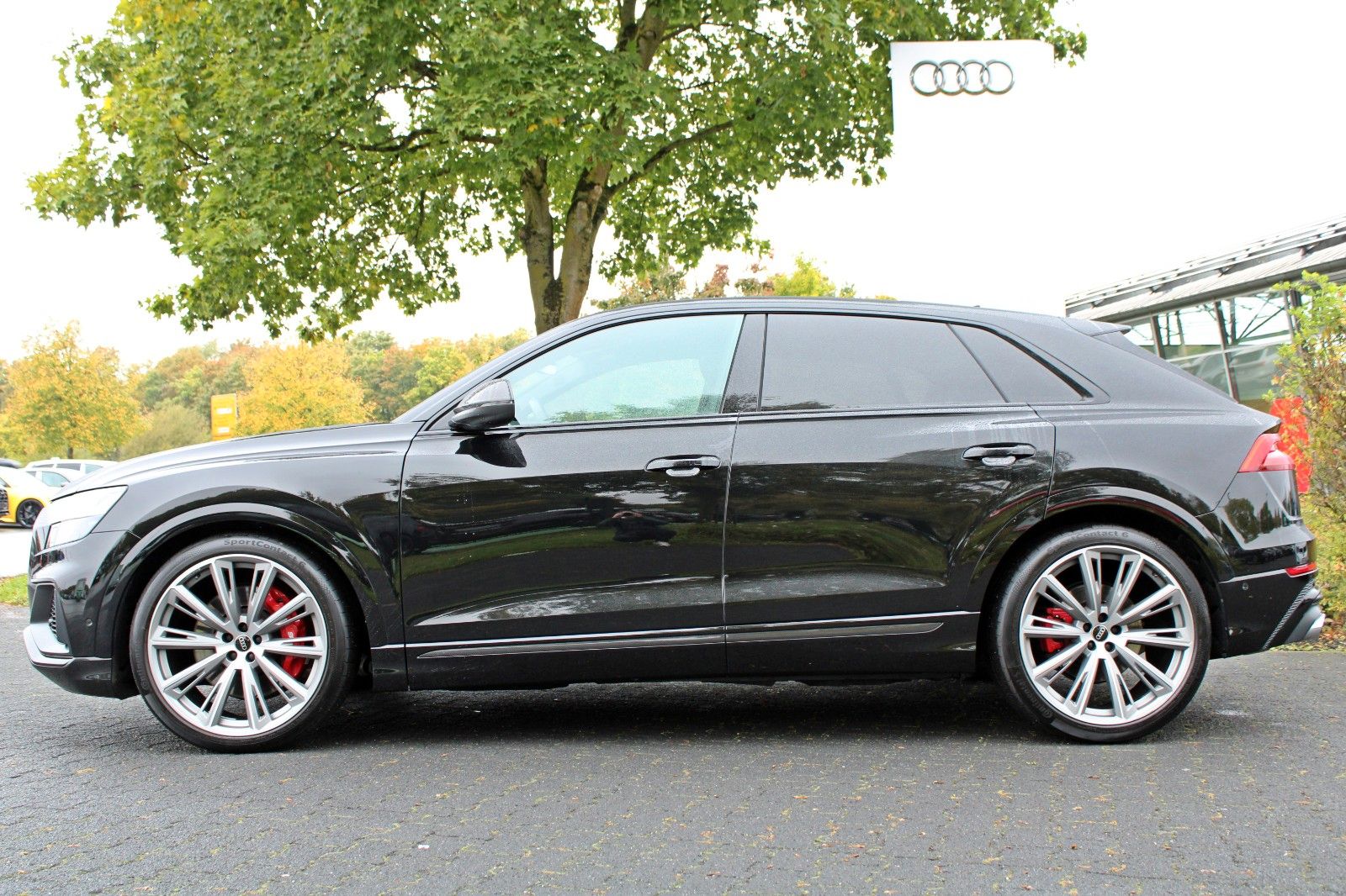 Audi SQ8 - Bild 4