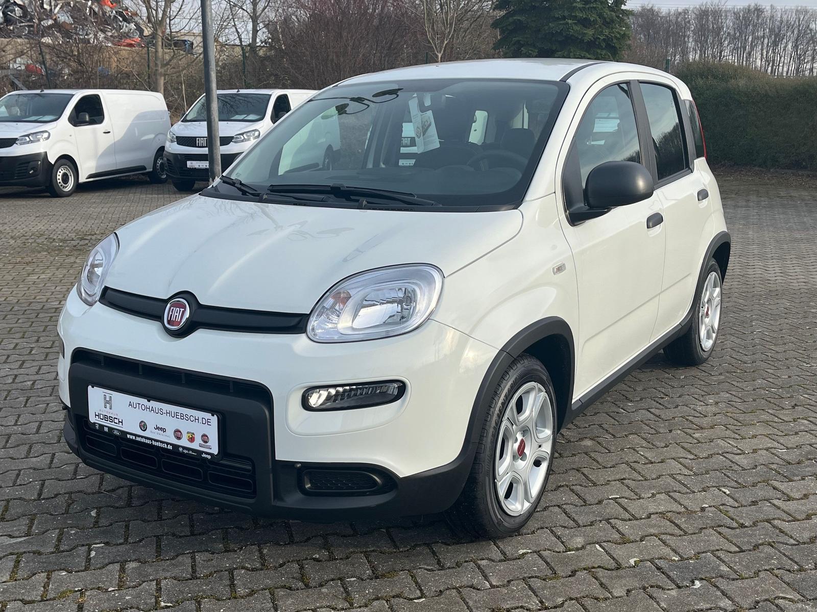Fiat Panda Base / Radio, Bluetooth, Klima, elektr. FH