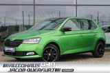 Skoda Fabia 110PS Monte Carlo *PANO*NAVI*ACC*LED*SHZ* - Skoda Fabia: Grün