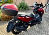 Honda Forza 125 - HONDA ROLLER 125