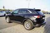 Ford Kuga 1.5 EcoBoost Titanium Keyless-Go Kamera AHK - gebrauchte Ford Kuga aus dem Jahr 2020