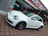 Volkswagen Beetle Cup Design 2.0 TDI DSG - Volkswagen Beetle: TDI