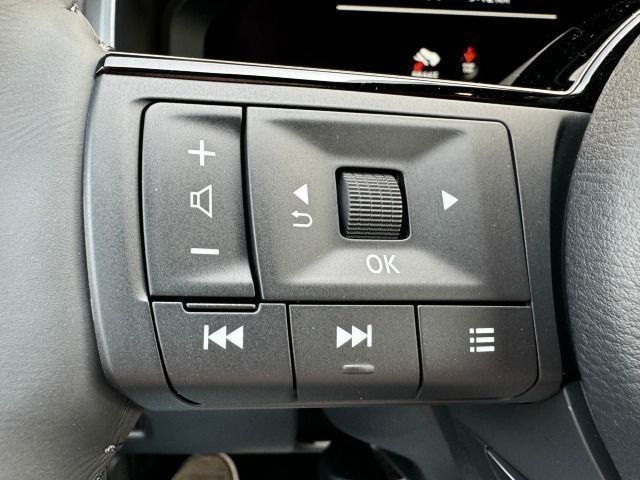 Fahrzeugabbildung Nissan Qashqai 1.5 VC-T e-Power Tekna+20`*PP*Nappa*MJ24