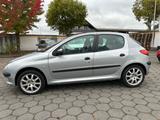 Peugeot 206 1.4 Platinium 75 / TÜV Neu / Panoramadach - Peugeot 206: 5 Türen