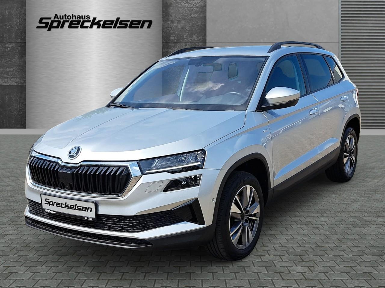 Skoda Karoq 2.0 TDI Tour++Area View++elektr. Heckklapp
