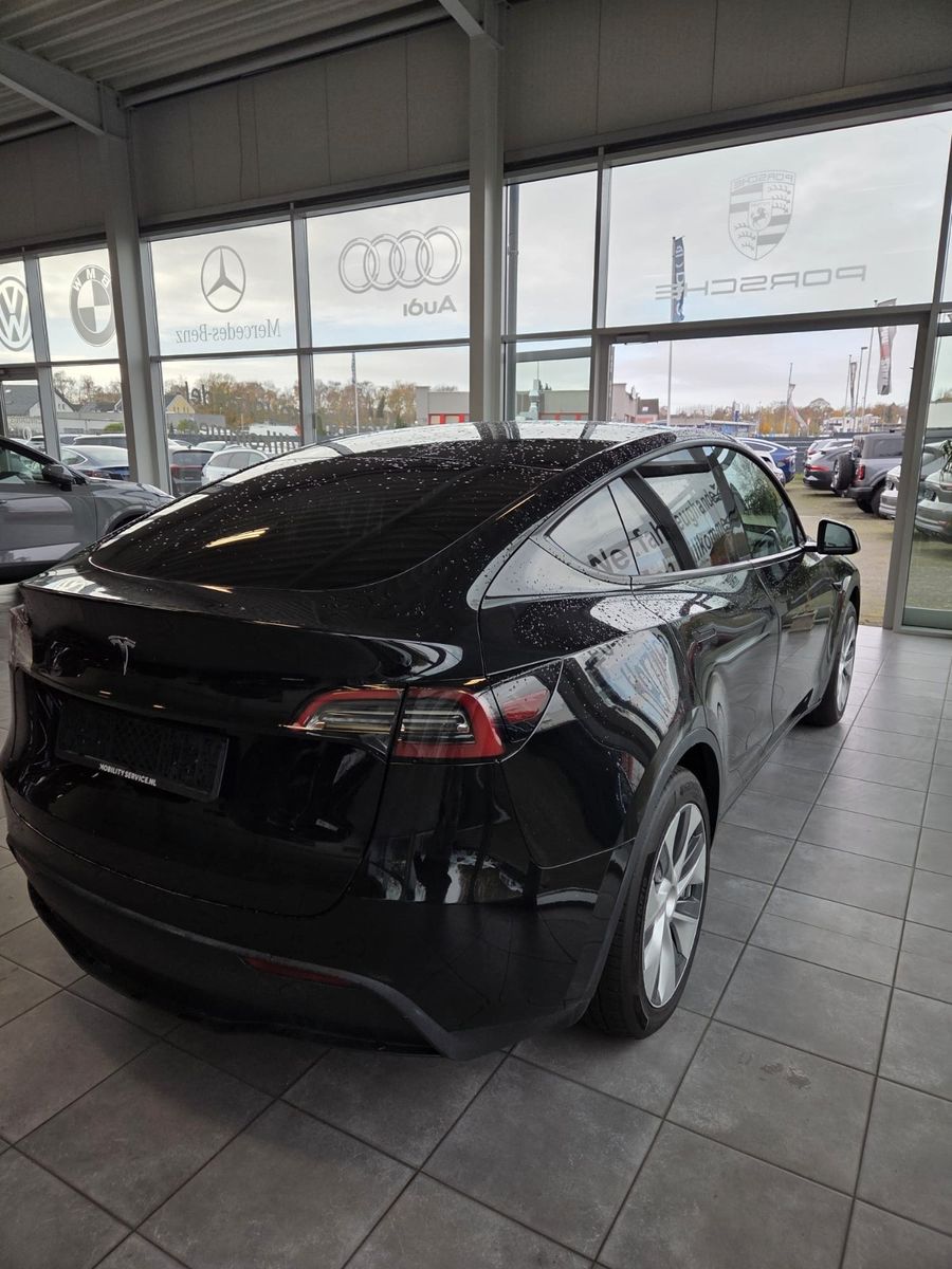 Fahrzeugabbildung Tesla Model Y Basis RWD