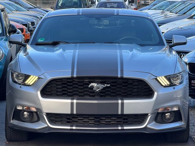 Ford Mustang 2.3 ECOBOOST AUTOMATIK*KAMERA*LEDER*NAVI