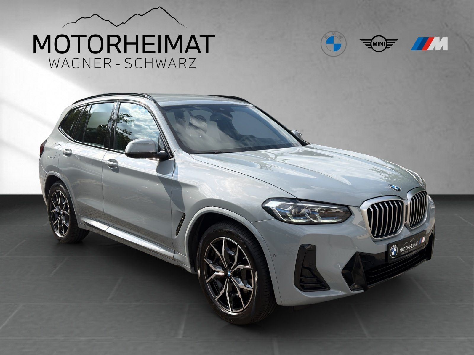 BMW X3 xDrive20i M Sport HUD RFK Laser Standhzg foto 5