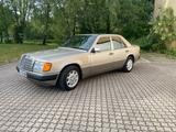 Mercedes-Benz Mercedes W124 230E Top Zustand 72tkm - Mercedes-Benz 230 aus 1991