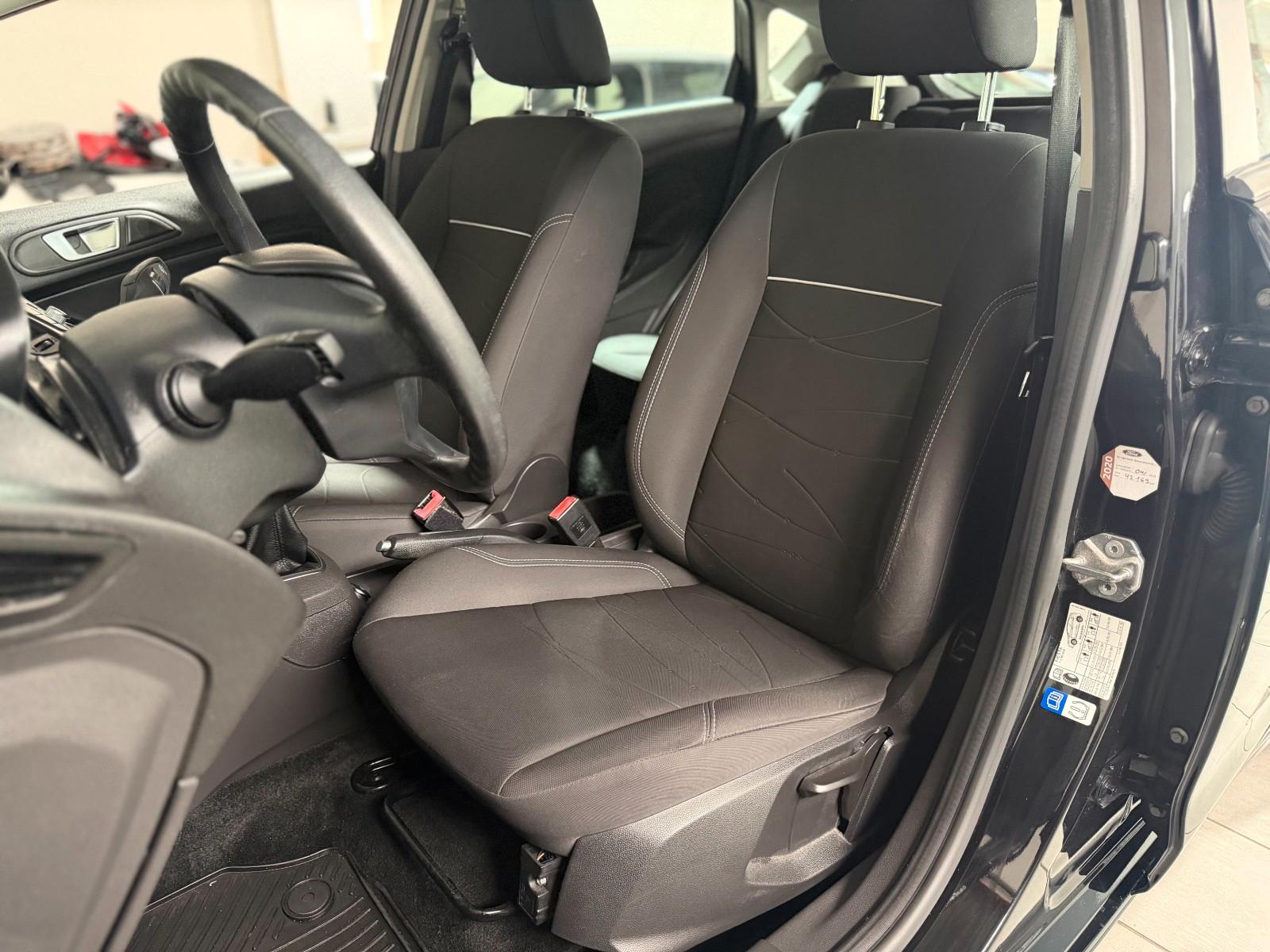 Ford Fiesta Edition Winterpaket USB PDC