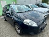 Fiat Punto TÜV Neu Zahnriehmen Neu - Fiat Punto in Hamm