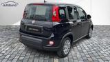 Fiat Panda 1,0  Hybrid (MHEV) Pandina Base NBA PDC SH - Gebrauchtwagen in Bielefeld bis 15.000 Euro