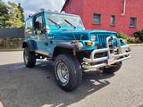 Jeep Wrangler 1HAND ROSTFREI WENIG KILOMETER UMBAU H - gebrauchte Jeep Wrangler aus dem Jahr 1993
