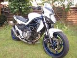 Suzuki Gladius SFV 650 A (Tieferlegung/ABS)  - Offers matching your search criteria