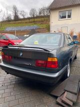 BMW Bmw e34 524td M Technik Motor revidiert un... - BMW 524 Gebrauchtwagen