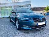 Skoda Superb 1.6 TDI  (ver.2019) - Skoda Superb: V6 TDI