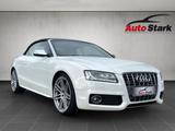 Audi S5 3.0 TFSI quattro S-Line S-Tronic Xenon°Navi°D - Audi S5 aus 2009