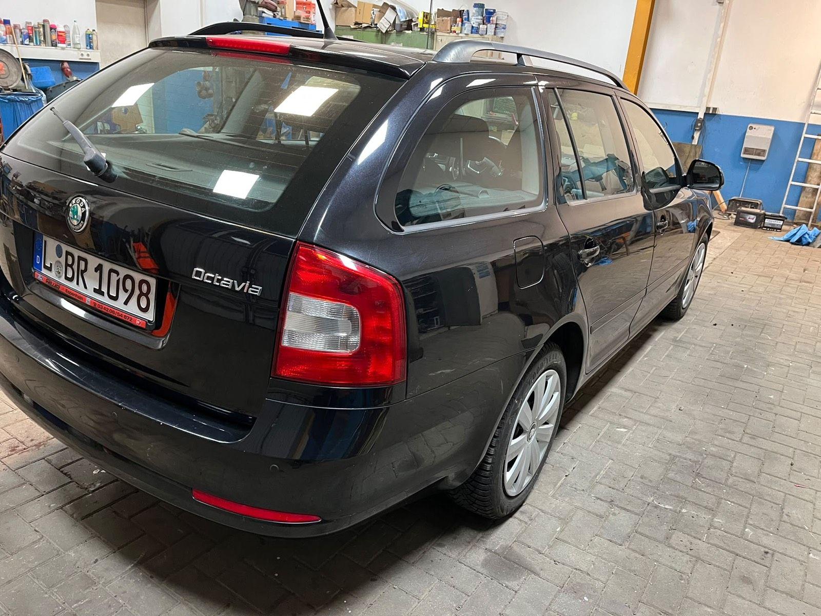 Skoda Octavia 2011 — rear view