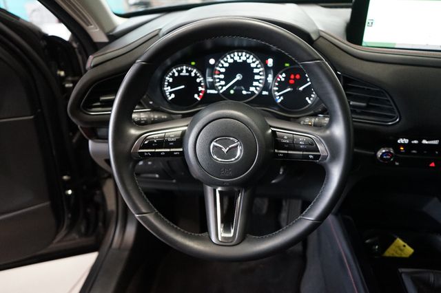 Vorschau Auto